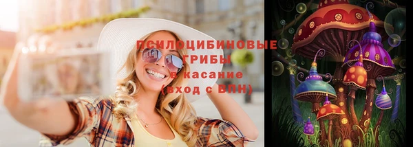альфа пвп Медвежьегорск