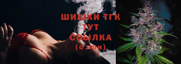 стафф Медногорск