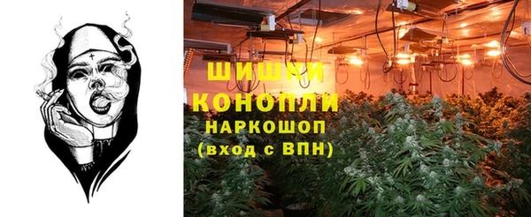 стафф Медногорск