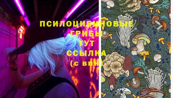 стафф Медногорск