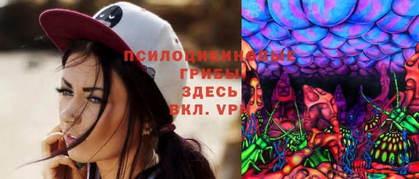 альфа пвп Медвежьегорск