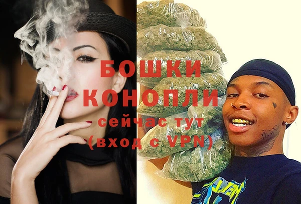 альфа пвп Медвежьегорск