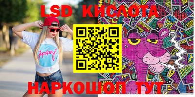 ешки Кингисепп