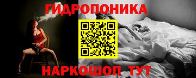 ешки Кингисепп