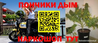 кокс Нальчик