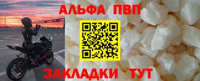 ешки Кингисепп