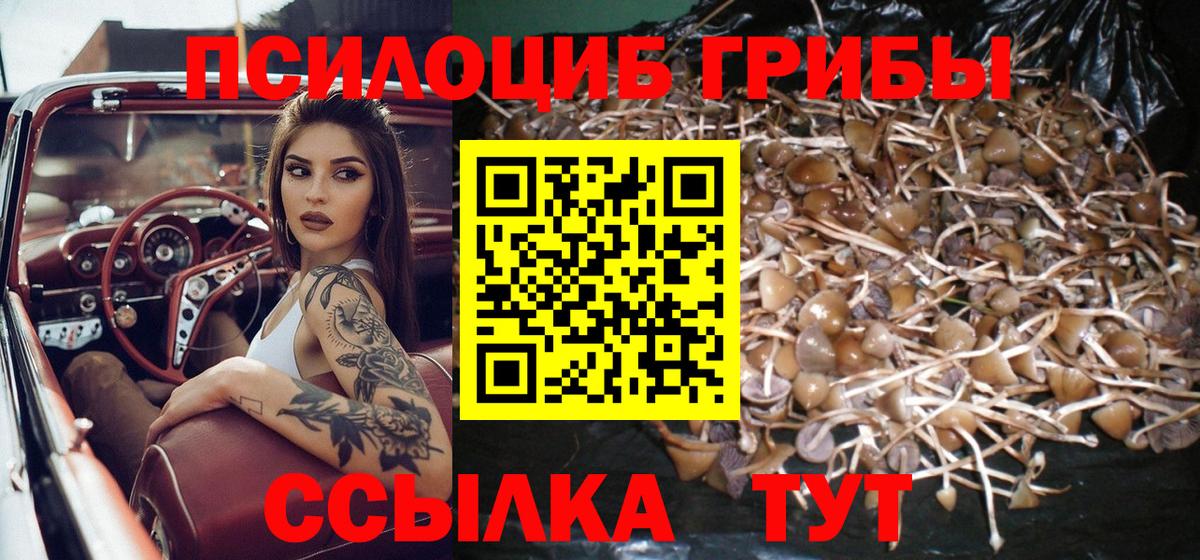 Псилоцибиновые грибы Magic Shrooms Крымск