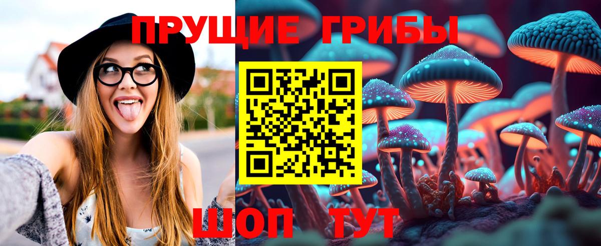 Псилоцибиновые грибы Psilocybe  Крымск  Галлюциногенные грибы GOLDEN TEACHER 