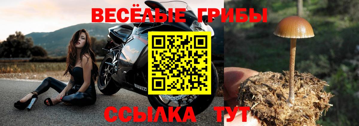 Меф МЯУ МЯУ кристаллы  Вход с VPN  MDMA  Продажа наркотиков  Гашиш  Крымск  APVP СК   Конопля 